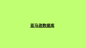 亚马逊数据库